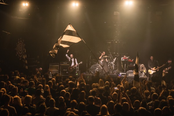 Koncert specjalny pamięci Grzegorza Ciechowskiego (ACKiS Od Nowa, 14.12.2019) [fot. Jessica David]